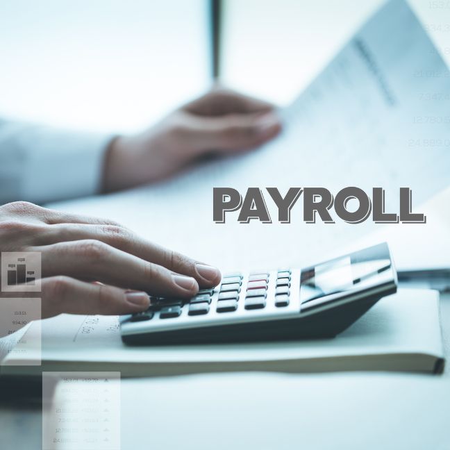 Payroll Services Support